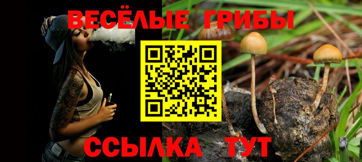 Псилоцибиновые грибы ЛСД  Вход с VPN  Бугуруслан 